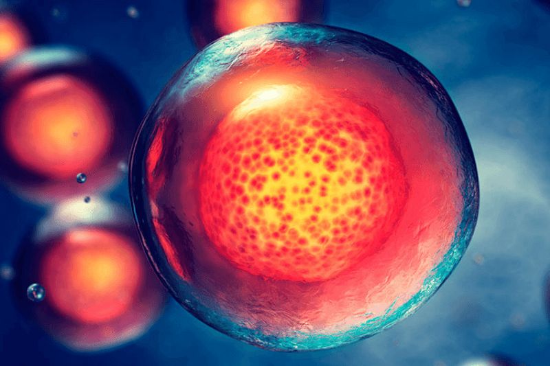celulas madre en medicina regenerativa