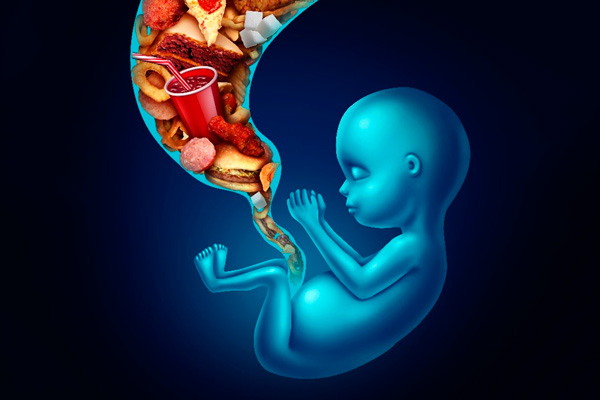 the obesity on human reproduction